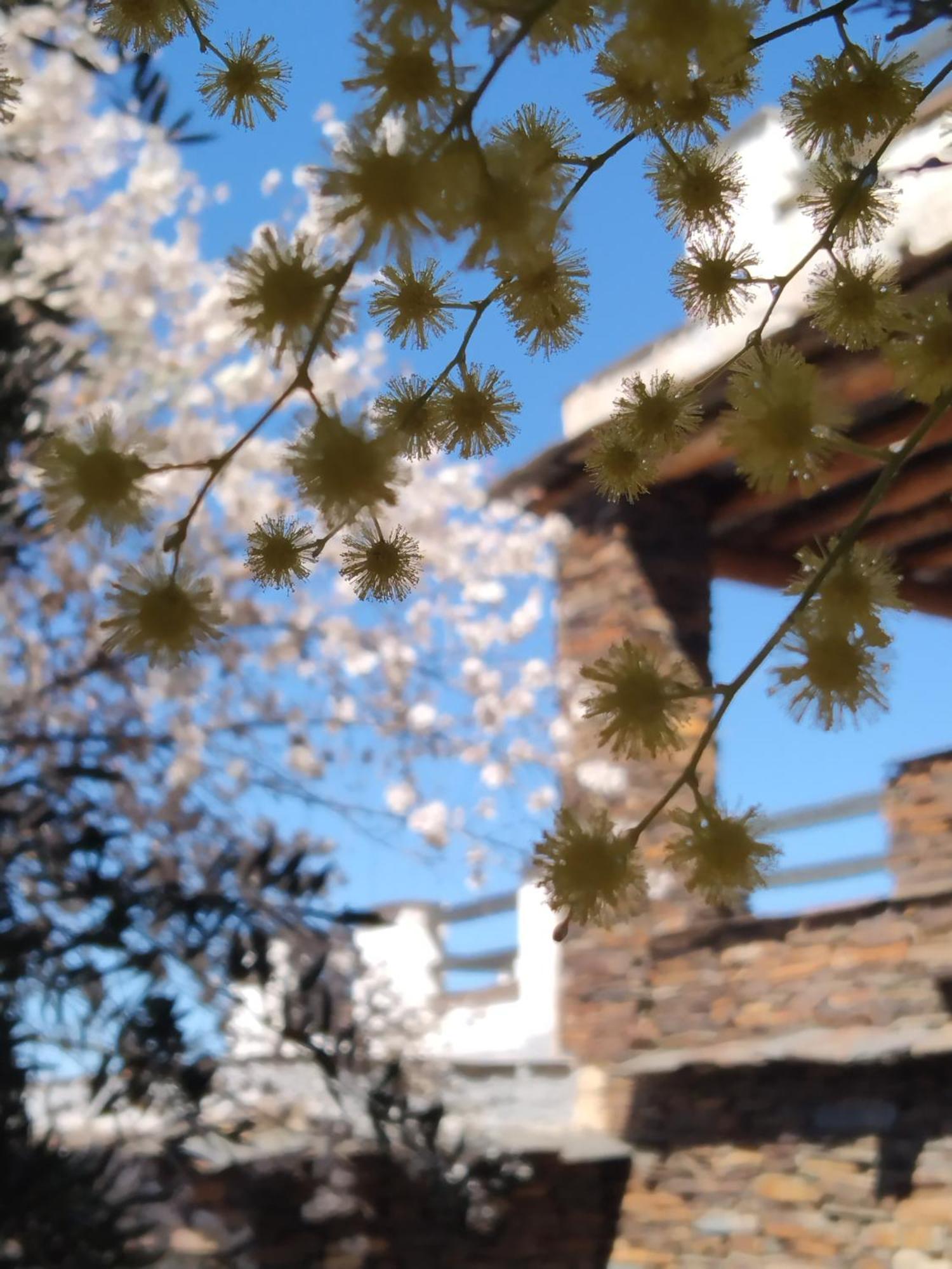 La Posada Del Altozano Lanteira Luaran gambar